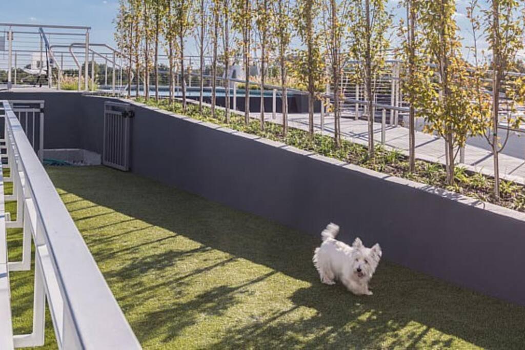 Modern, Chic, Great Location Apartment Washington Luaran gambar